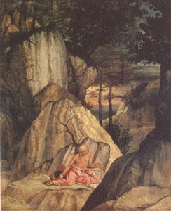 Lorenzo Lotto Jerome in the Desert (mk05) oil painting image